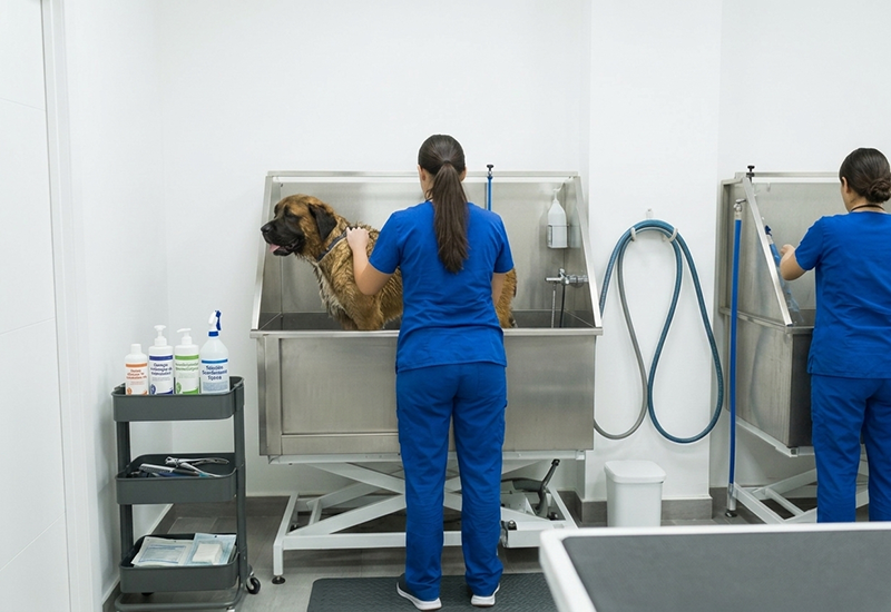 Baño y peluquería para mascotas