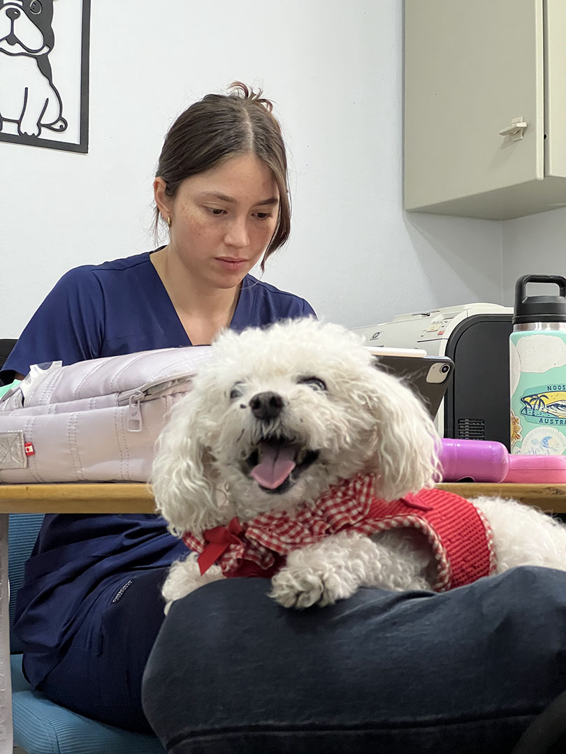 Profesional veterinario con vocación