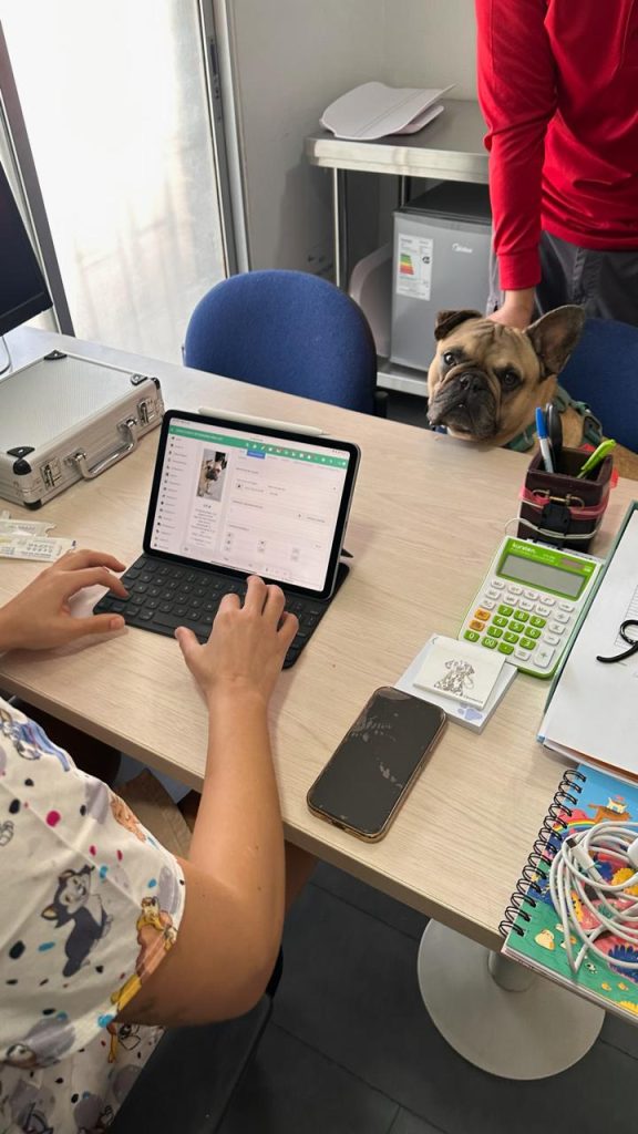 Servicios Veterinarios Especializados en Vitacura