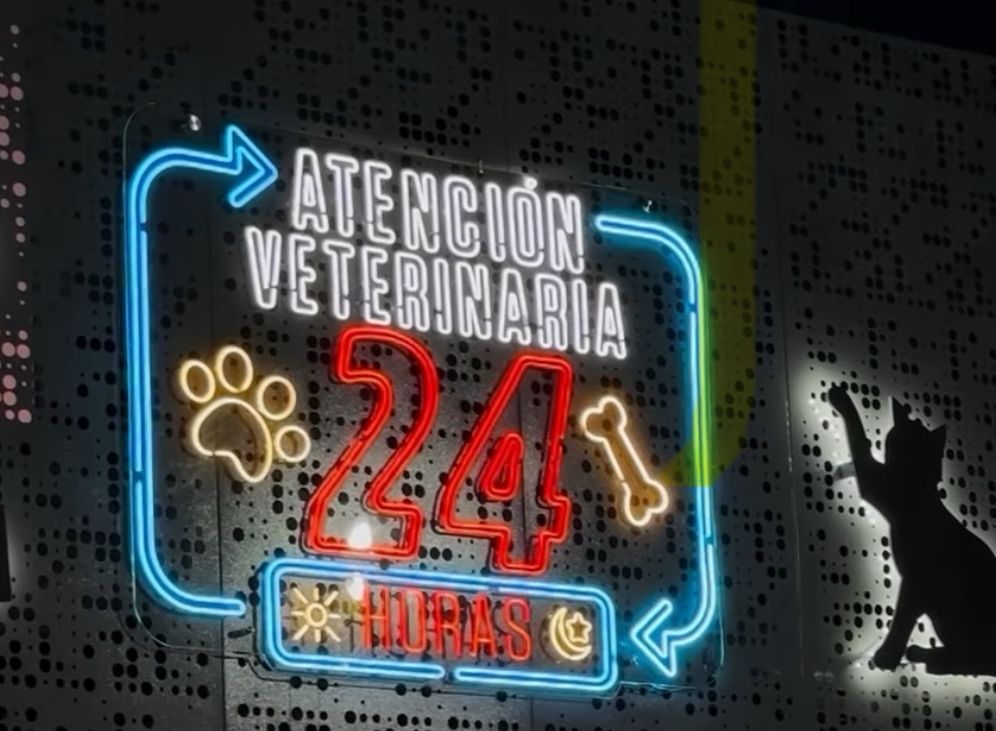 Atención Veterinaria 24/7 en Arka Vet