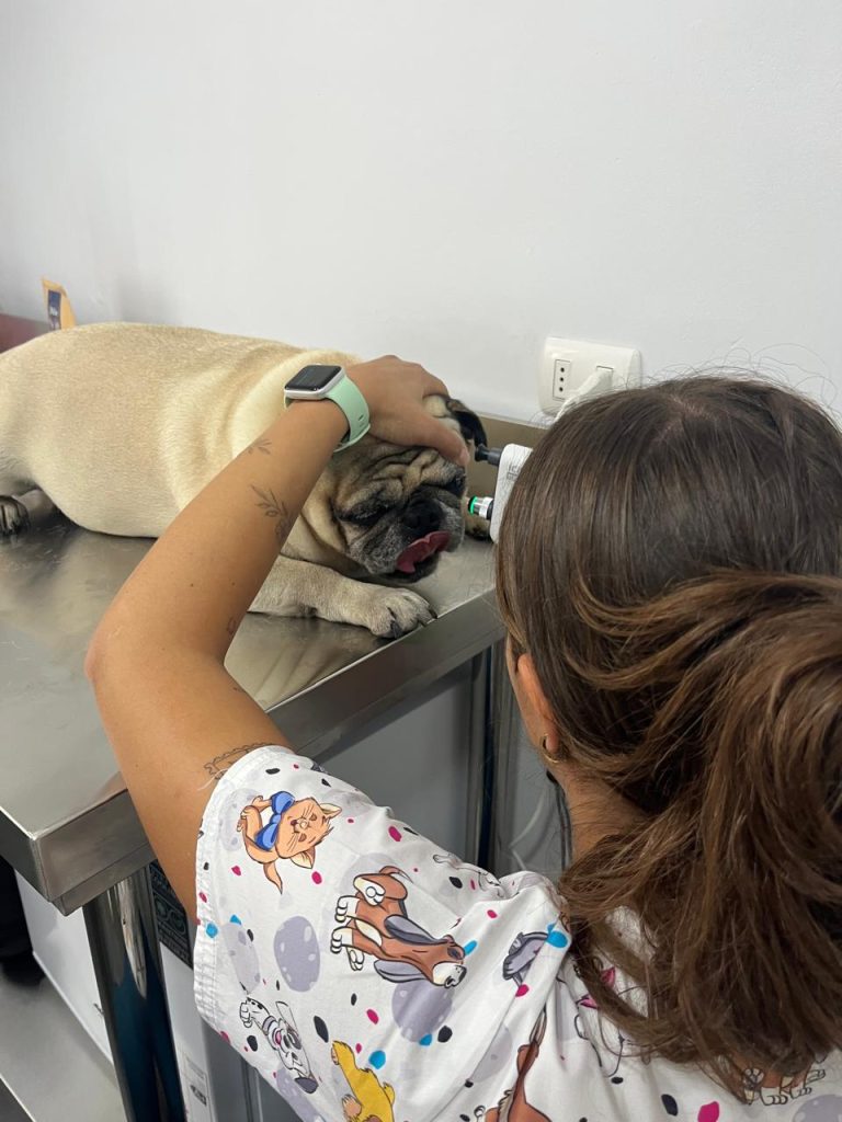 Equipo de veterinarios especializados con tecnología avanzada para el cuidado ocular de tu mascota
