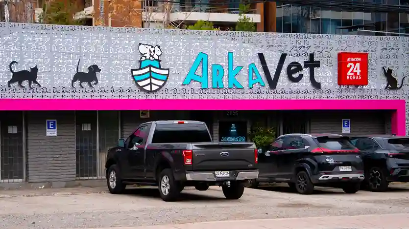 Atención de veterinaria 24 horas en Fiestas Patrias en clínica Arkavet Vitacura